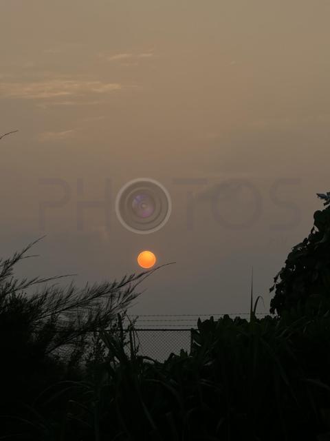 IMG 7468
