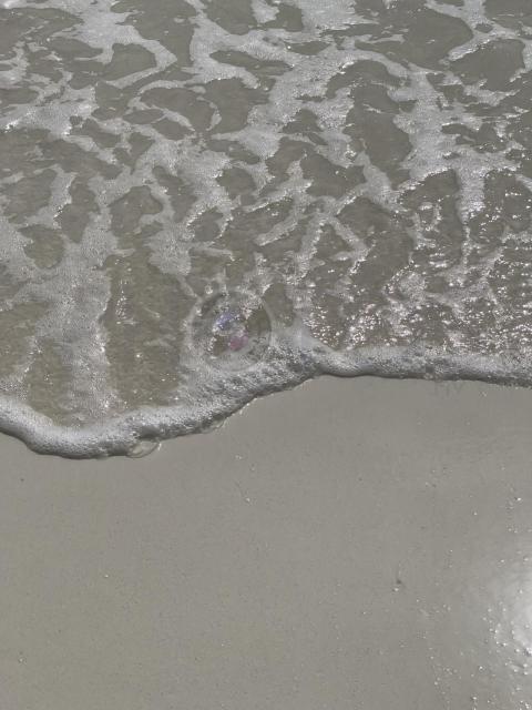 IMG 4364