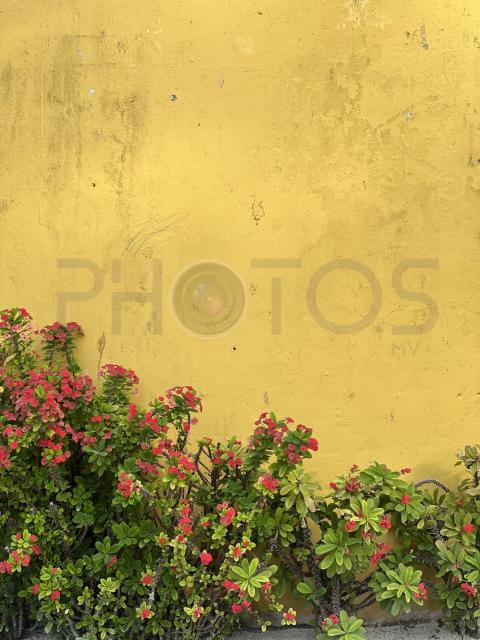 IMG 7750