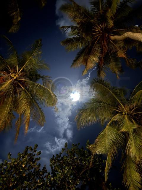 Moon light