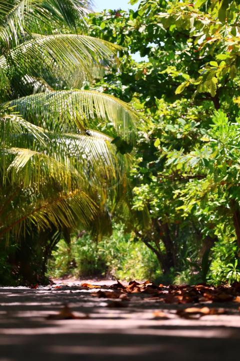 Nature