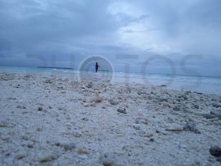 IMG 20201118 174743 1
