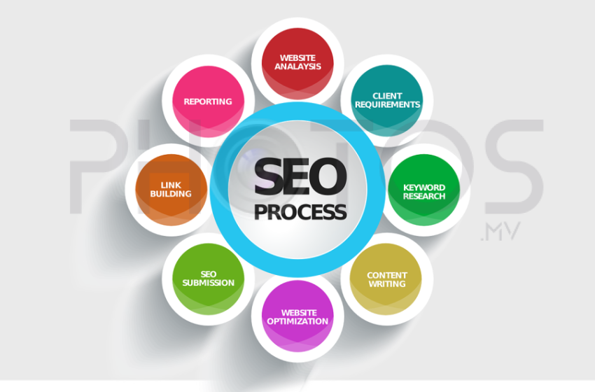 seo 2024 feature