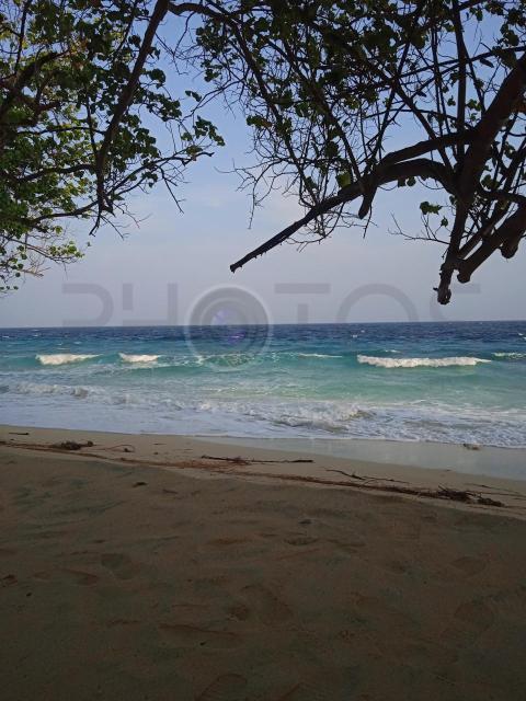 IMG 20250117 170017