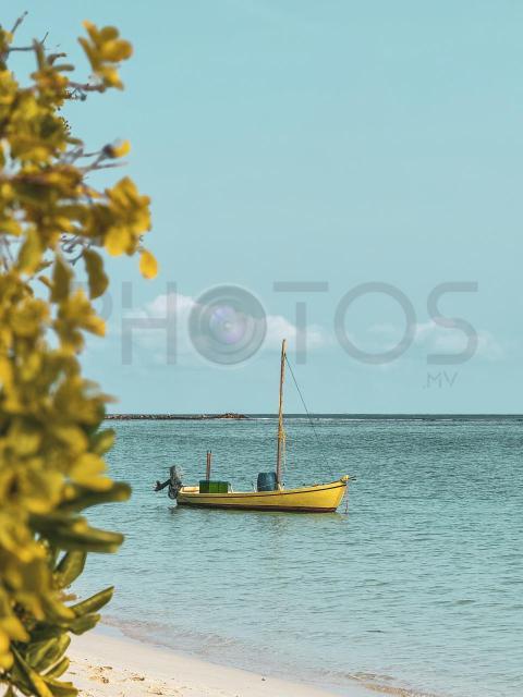 IMG 0008 jpg