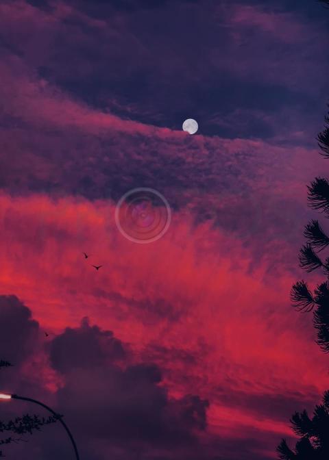 Pink sky